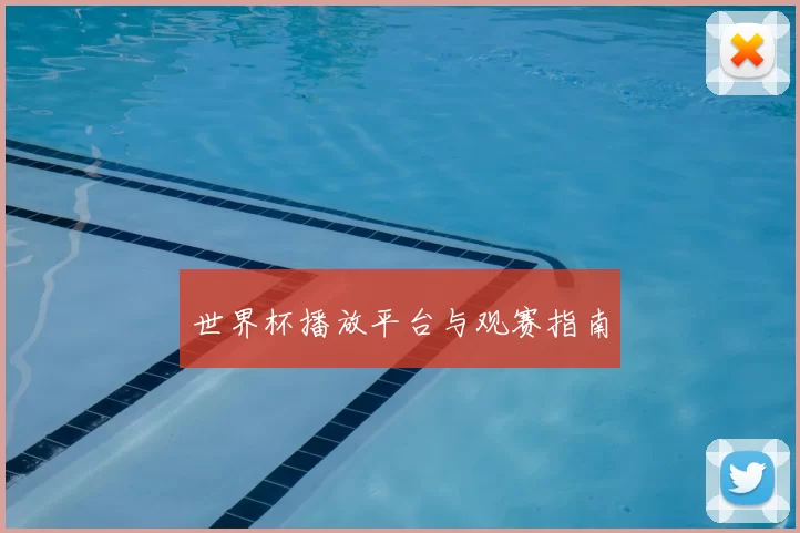 世界杯播放平台与观赛指南