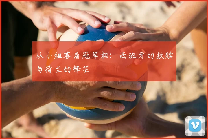 从小组赛看冠军相:西班牙的救赎与荷兰的锋芒