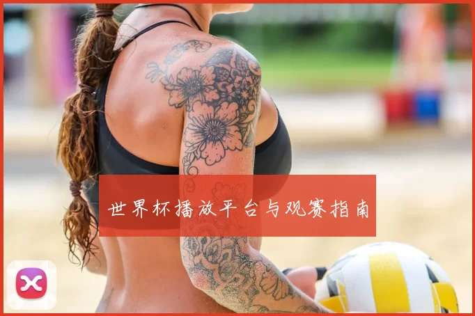 世界杯播放平台与观赛指南