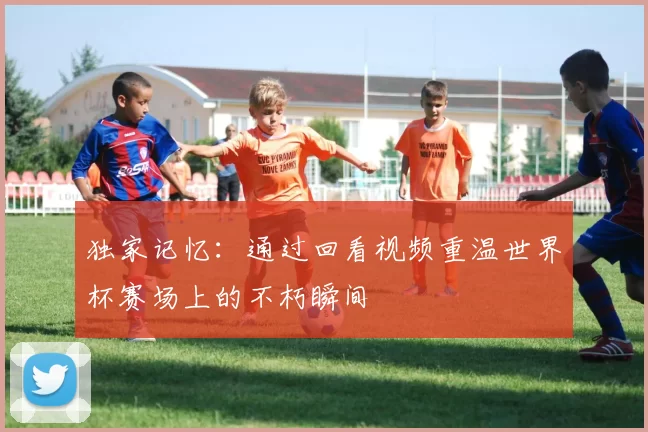 独家记忆：通过回看视频重温世界杯赛场上的不朽瞬间