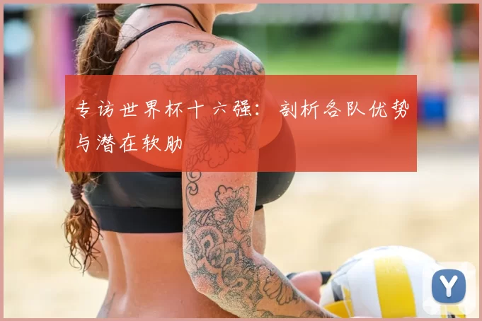 专访世界杯十六强：剖析各队优势与潜在软肋