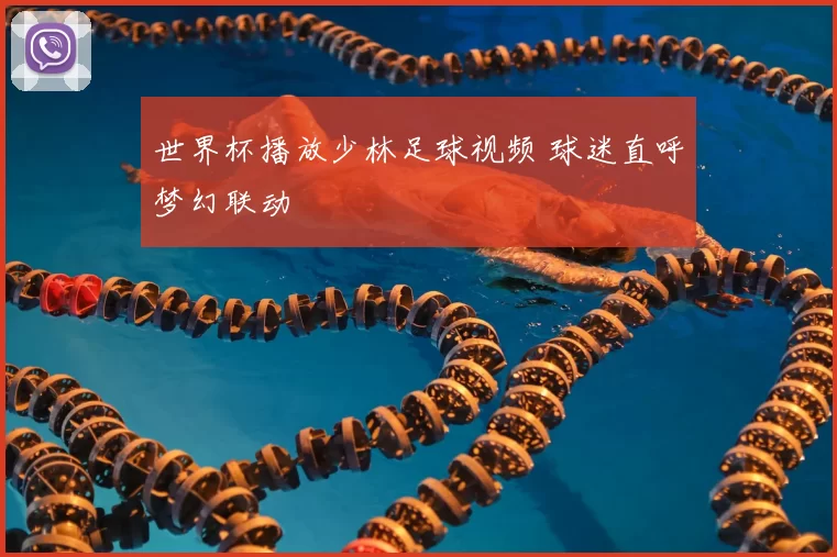 世界杯播放少林足球视频 球迷直呼梦幻联动