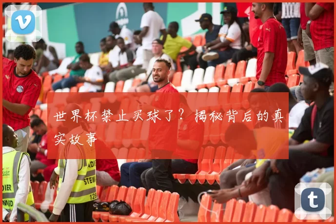 世界杯禁止买球了?揭秘背后的真实故事