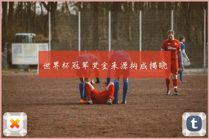 世界杯冠军奖金来源构成揭晓