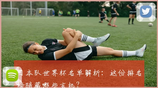 日本队世界杯名单解析:这份排名榜暗藏哪些玄机?