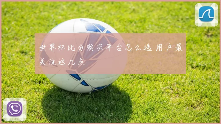 世界杯比分购买平台怎么选 用户最关注这几点