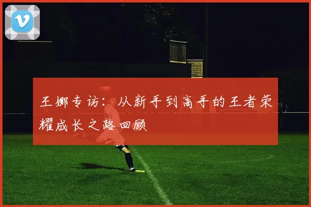王娜专访:从新手到高手的王者荣耀成长之路回顾